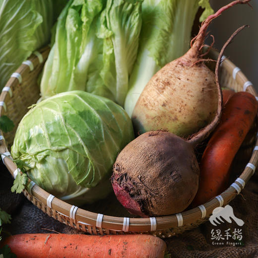 生态时令蔬菜箱（冬季） | 合作生产* Ecological vegetable box  | Coproduction 商品图7