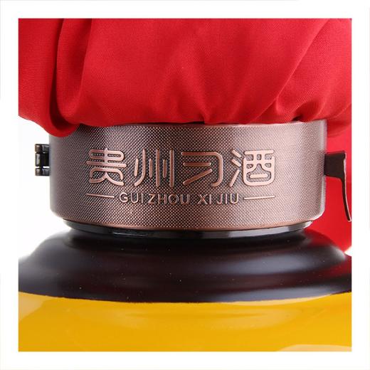 53度贵州习酒·纪元小坛酒（黄色）3L 单瓶 商品图3