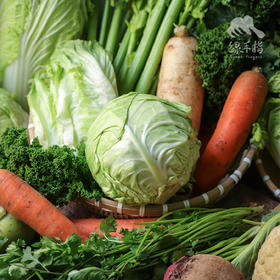 生态时令蔬菜箱（冬季） | 合作生产* Ecological vegetable box  | Coproduction