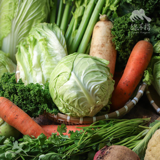 生态时令蔬菜箱（冬季） | 合作生产* Ecological vegetable box  | Coproduction 商品图0