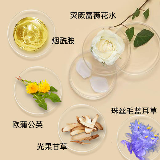 【尝鲜体验装】植想说白玫瑰密集补水面膜1片装，密集补水，非质量问题不退不换，不支持修改地址 商品图3