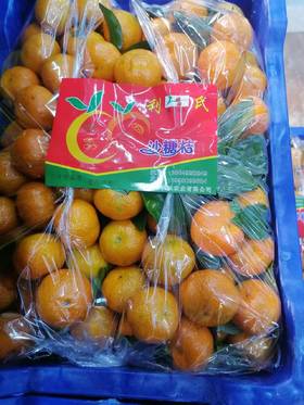 利氏砂糖橘一箱（拼团）