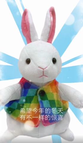 毛巾美术馆白兔
