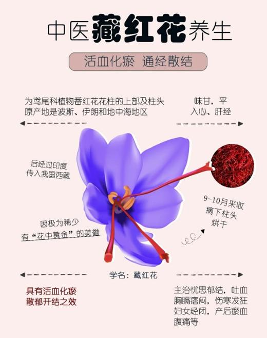 【藏红花】伊朗核心产区 纯正进口 顶级头茬全红雌蕊 藏红花 3克/瓶 商品图0