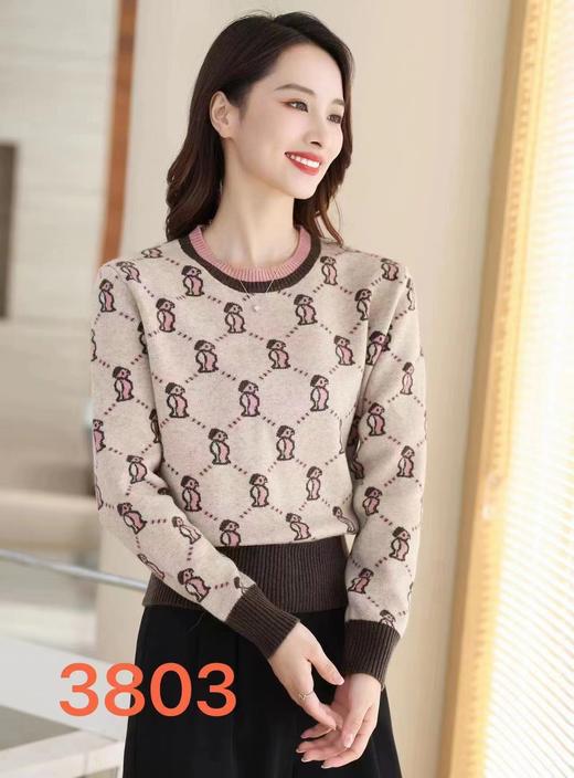 女松鼠毛衣3803 商品图0