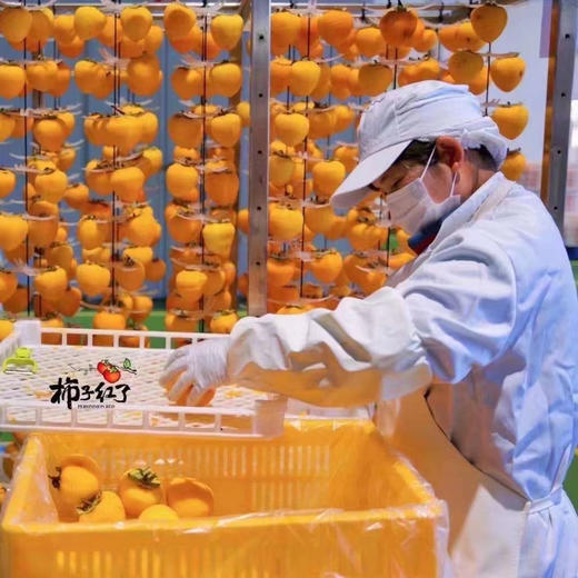 【柿子红了】晶莹剔透中带着红亮软糯的质感，十分诱人~流心果肉吃起来又像冰淇淋又像果冻，啧啧，吃一个都停不下来！ 商品图2