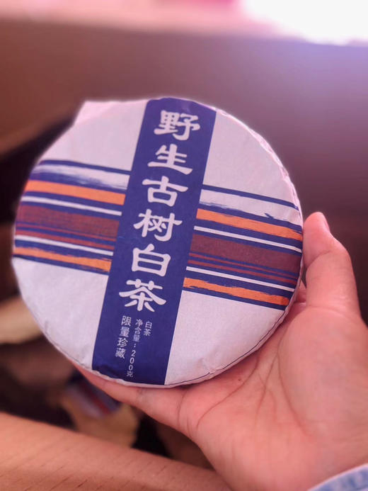 2022[野·生古树白茶]野香野韵白茶！浓郁的野果子香~ 商品图2