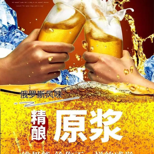 维极熊精酿原浆白啤酒1L 商品图5