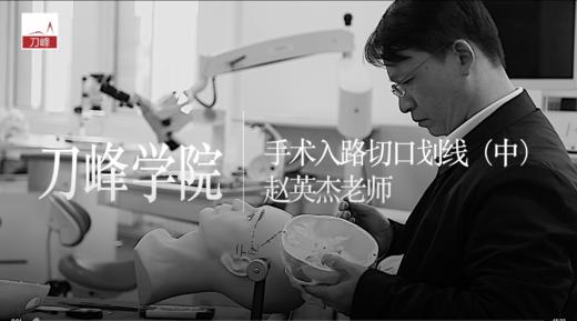 手术入路切口划线（中集） 商品图0