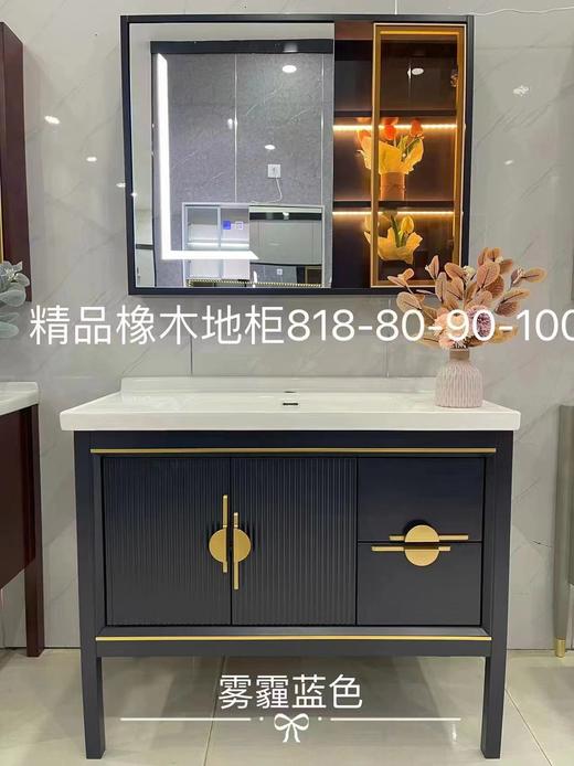 浴室柜 818-100 二包装配50陶瓷盆 商品图0