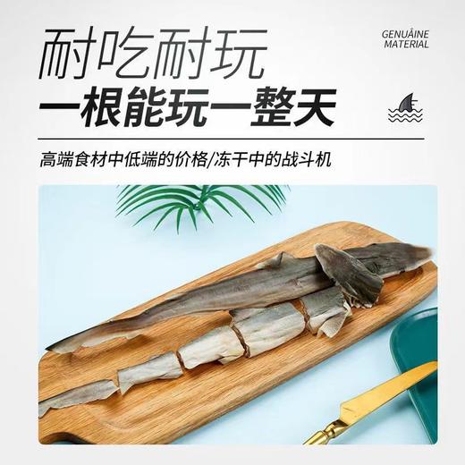 嘉士宝冻干小鲨鱼狗狗猫咪冻干小鱼干磨牙耐啃零食中号20-30cm左右/个 商品图4