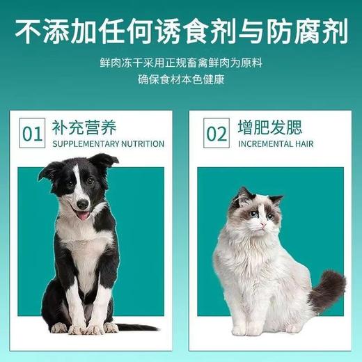 嘉士宝冻干小鲨鱼狗狗猫咪冻干小鱼干磨牙耐啃零食中号20-30cm左右/个 商品图3