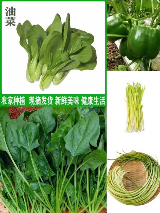 五种蔬菜组合 2.5kg 商品图0