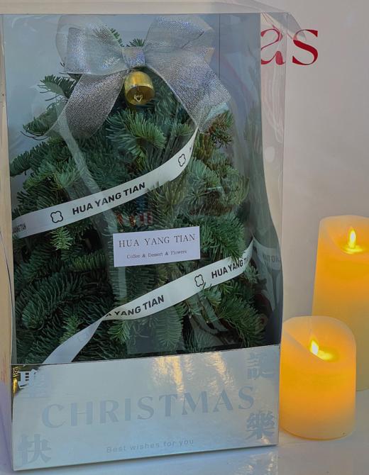 圣诞限定  真诺贝松裸树 商品图1