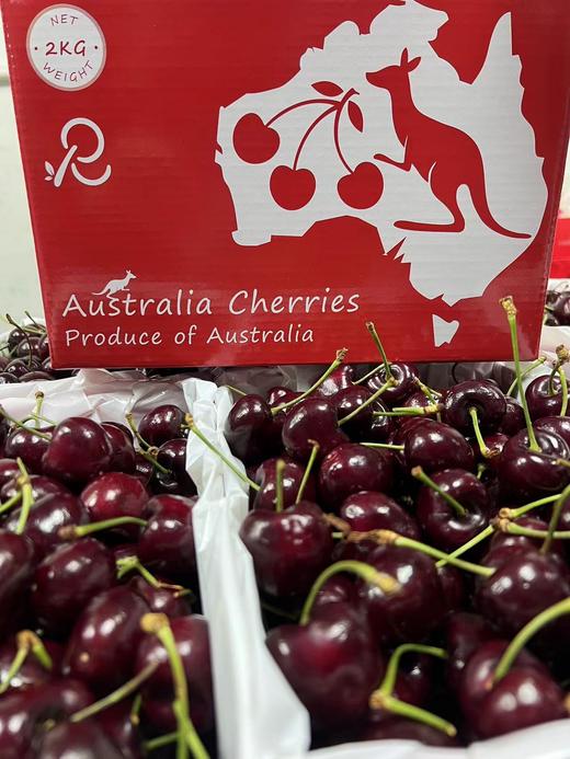 空运车厘子【48-72小时发货】第一口澳洲车厘子尝鲜！来自新南威尔士州红袋鼠果园，每年出口销量冠军 品质稳定 又脆又甜 广州仓发货 国内顺丰空运 商品图3