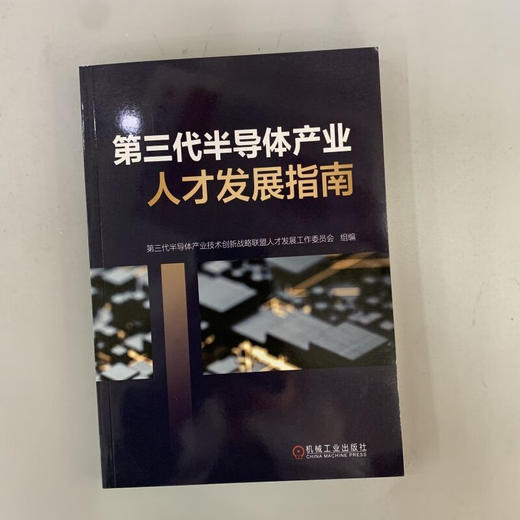 第三代半导体产业人才发展指南（半导体产业发展及人才状况解析、半导体产业人才培养体系建设指导） 商品图1