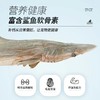 嘉士宝冻干小鲨鱼狗狗猫咪冻干小鱼干磨牙耐啃零食中号20-30cm左右/个 商品缩略图2