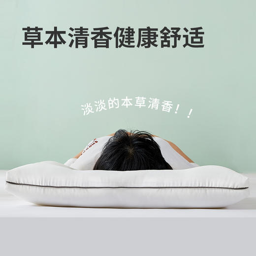 佳丽斯A类抑菌草本美眠枕 商品图1