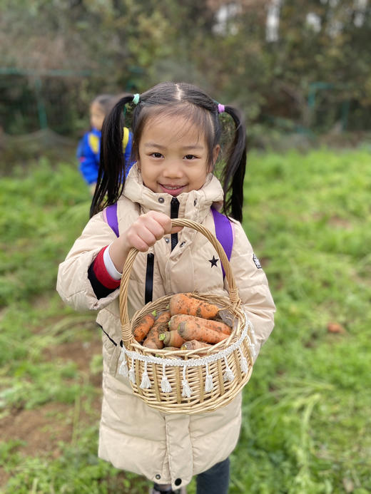 朴愿有机农场 长得丑吃得美的  有机胡萝卜 400g 商品图2