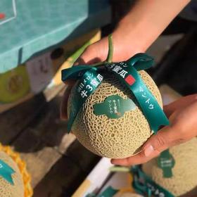 红夫人商城 海南空运 牛3蜜瓜 网纹瓜（约5斤）