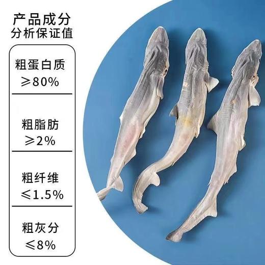 嘉士宝冻干小鲨鱼狗狗猫咪冻干小鱼干磨牙耐啃零食中号20-30cm左右/个 商品图1