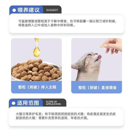 新宠之康宠物鱼油三文鱼油浓缩液体美毛防掉毛黑鼻头猫犬通用60粒/瓶 商品图4