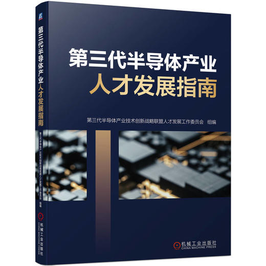 第三代半导体产业人才发展指南（半导体产业发展及人才状况解析、半导体产业人才培养体系建设指导） 商品图0