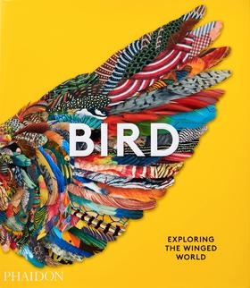 Bird: Exploring the Winged World，鸟:探索有翅膀的世界 科学科普图鉴画册，绘画