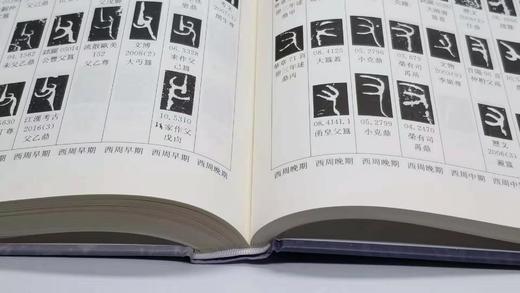《西周金文字编》（上下两册），精装16开本，张俊成主编，上海古籍2018年版，定价358，售价160元，品相9成。 商品图7