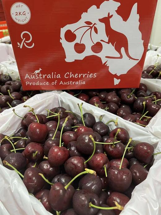 空运车厘子【48-72小时发货】第一口澳洲车厘子尝鲜！来自新南威尔士州红袋鼠果园，每年出口销量冠军 品质稳定 又脆又甜 广州仓发货 国内顺丰空运 商品图7