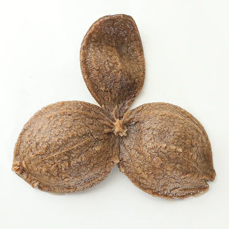 2010年bao福林250g 礼盒装