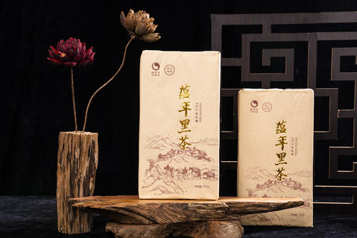 金花姑姑*蕴年黑茶 商品图0