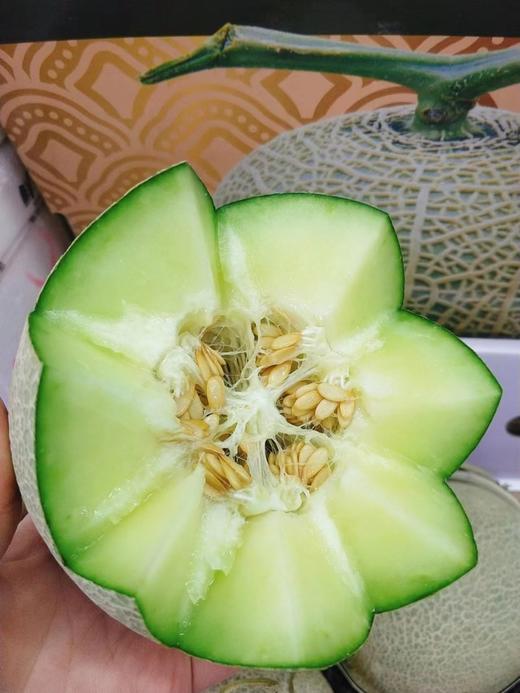 龙纹网纹蜜瓜一箱（拼团） 商品图3
