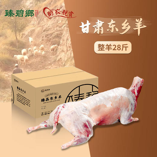 甘肃东乡羊全羊 14kg 商品图0