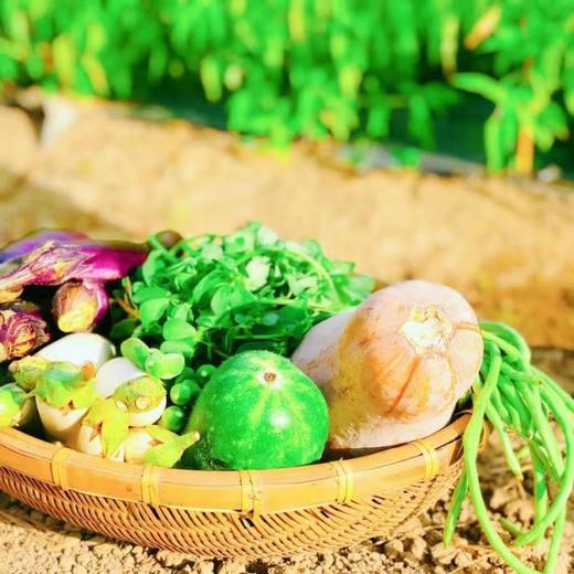 华禾绿源 绿耕名品 农产品套餐A 商品图1