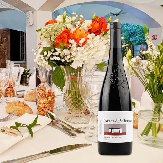 Chateau de Villeneuve Red 维伦纽夫干红葡萄酒 商品图1