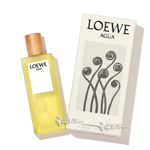 Loewe 罗意威之水 中性 淡香水 AGUA EL 小样/正装 商品图0