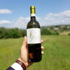 Giacosa Fratelli Gavi 贾科萨兄弟嘉维干白葡萄酒 商品缩略图3