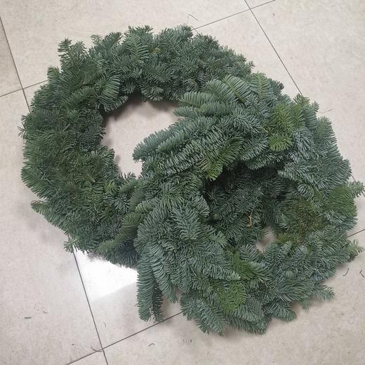 圣诞节诺贝松花环圣诞花环（裸圈）批发预定 商品图5