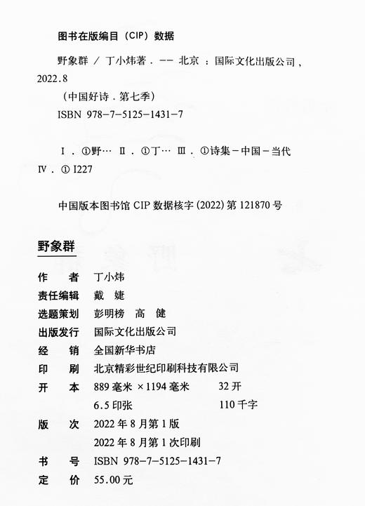 【签名本】【中国好诗·第七季】《野象群》丁小炜著 商品图2