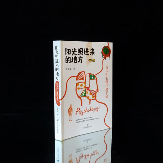 阳光照进来的地方 青少年心理疗愈 郑佳雯 著 心理学 商品图2