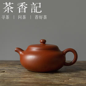 茶香记 赵庄朱泥 扁柿圆壶 紫砂壶 憨圆实用 红润细腻 功夫茶具