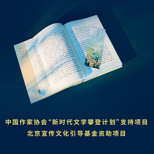 宝水 乔叶 著 小说 商品图3
