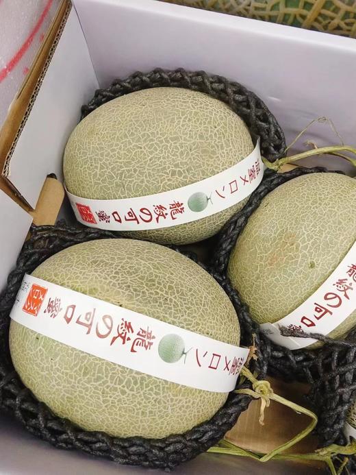 龙纹网纹蜜瓜一箱（拼团） 商品图1