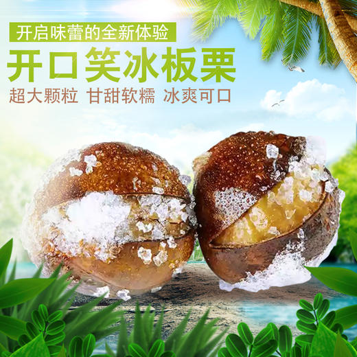 散称 约1斤/袋 河北速冻开口栗子 冰栗 开启味蕾新体验 三种吃法 香甜糯 商品图0