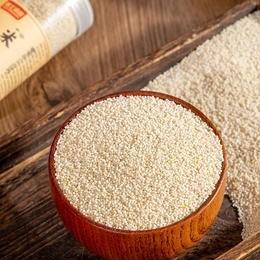 乌拉街白小米 商品图0