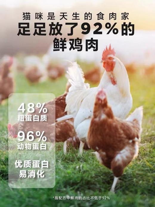 「92%鲜鸡肉 低温烘焙」卫仕X92全价全阶段烘焙鲜肉猫粮 商品图3