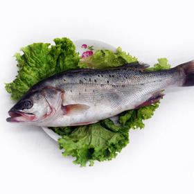 鲈鱼（1条约1.5-2斤）