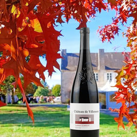 Chateau de Villeneuve Red 维伦纽夫干红葡萄酒