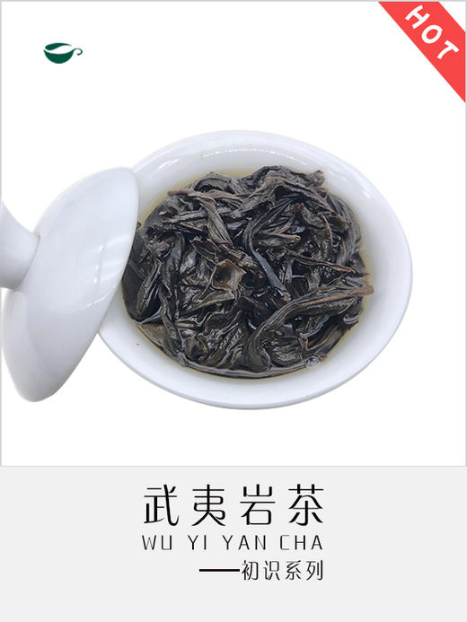 初识大红袍 商品图4